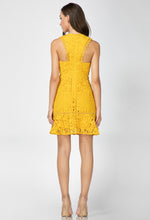 Load image into Gallery viewer, Jessie Woven Lace Dress
