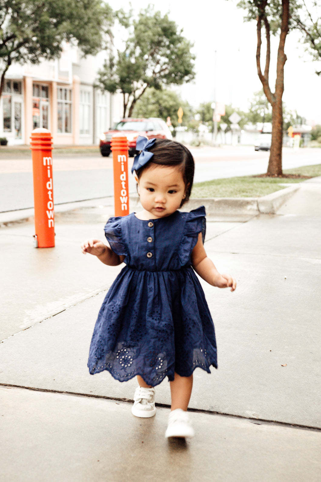 Little Girls Ruffle Sleeve Dress