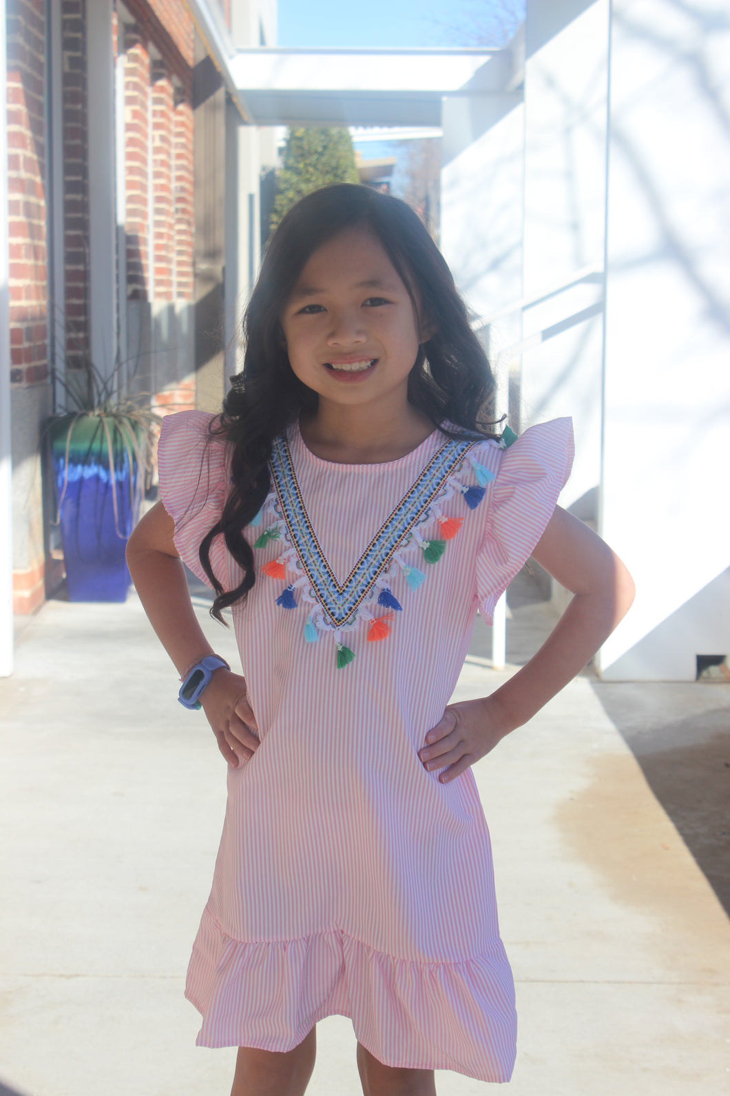 Little Girls Seersucker Ruffle Sleeve Dress